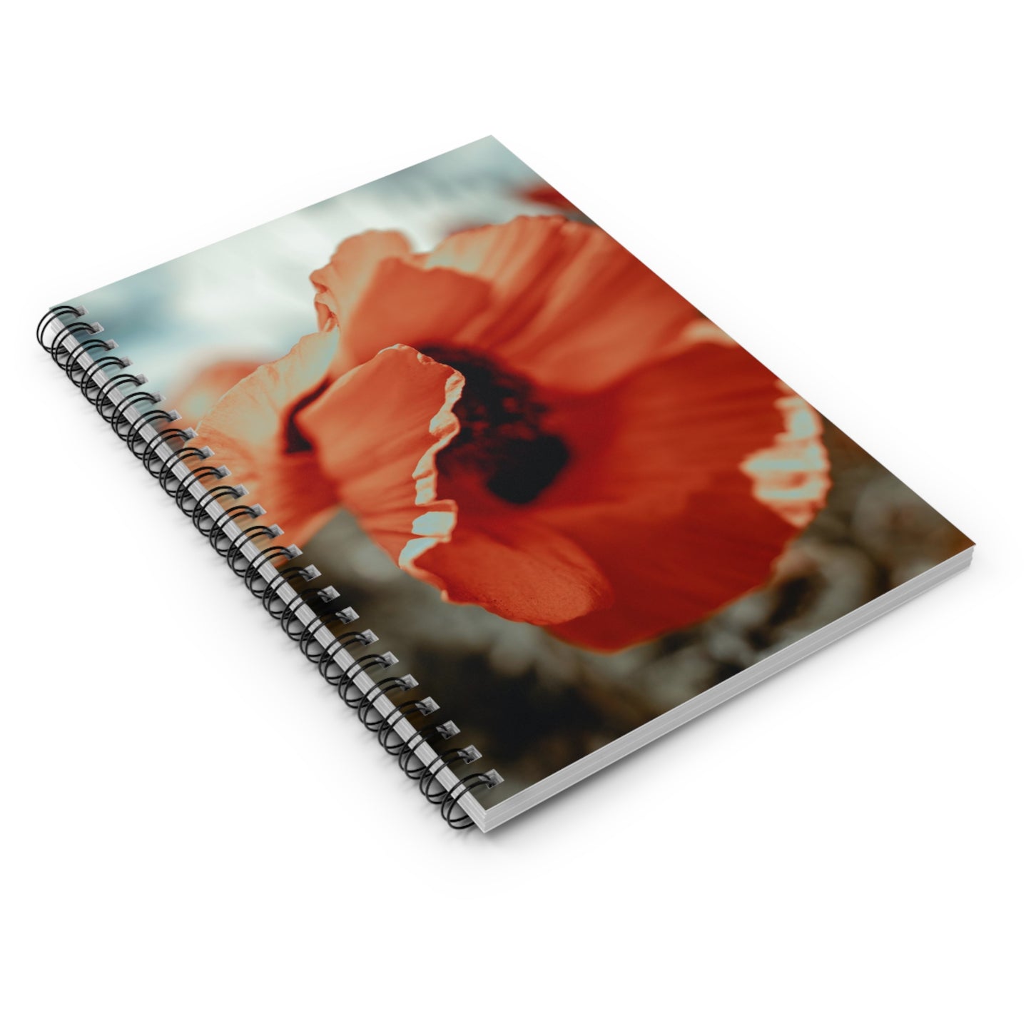 Scribe & Shine Spiral Notebook